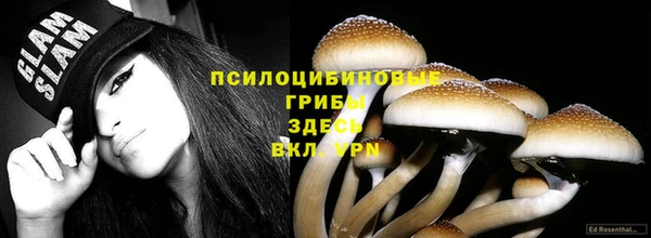 ALPHA PVP Белокуриха