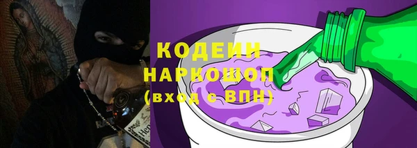 амф Елизово