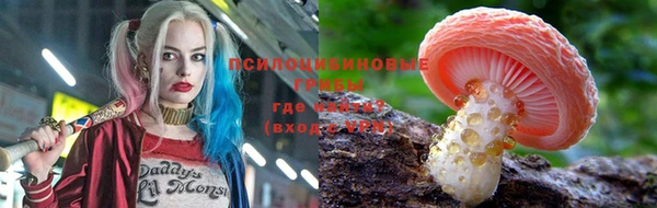 метадон Беломорск